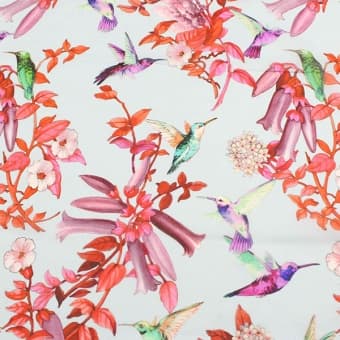 1561/01 ����� �������� Giambattista Valli �����/������� ���� ������� ����